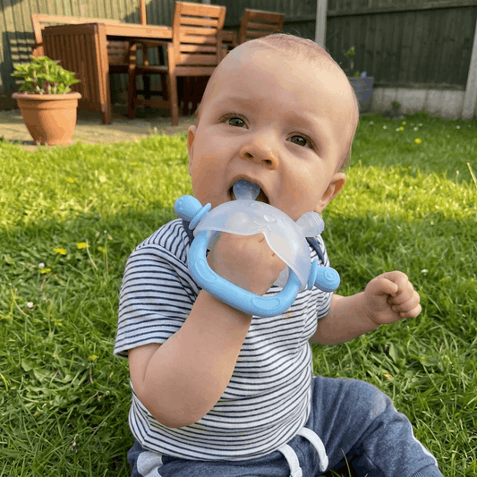 Renuvia Holdie Grip Teether